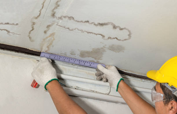 Reliable Burst Pipe Cleanup contractor in Whitman, WV by Water Damage Irwin
